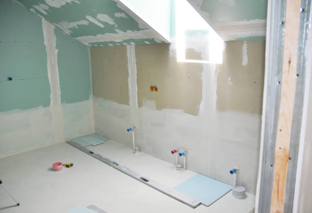 Best Residential Mold Inspection & Testing  in Taylorvle, IL