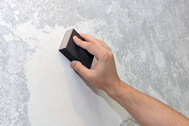 Environmental Consulting for Mold Prevention in Taylorville, IL