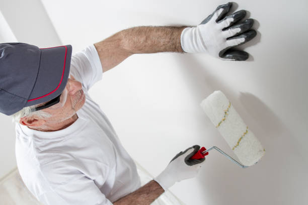 Best Mold-Related Health Consultation  in Taylorvle, IL