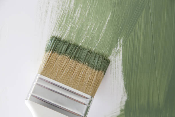 Mold Remediation for Vacation Homes in Taylorville, IL