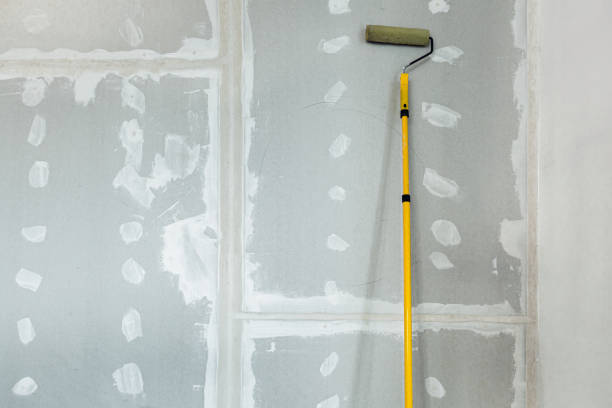 Best Biohazard Mold Removal  in Taylorvle, IL