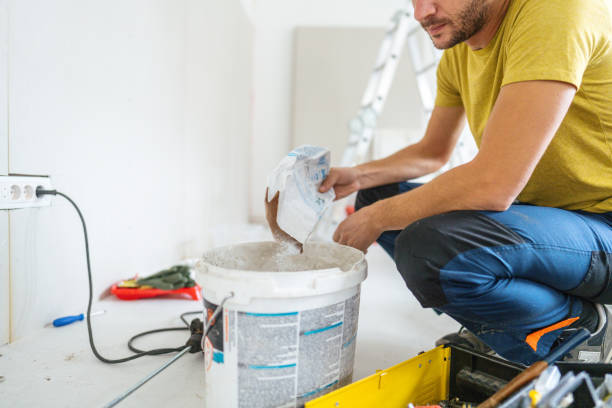 Best Mold Odor Removal Services  in Taylorvle, IL