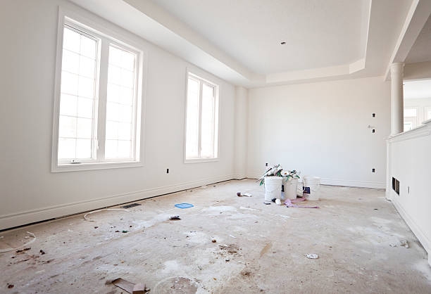 Best Asbestos and Lead Testing During Mold Inspection  in Taylorvle, IL